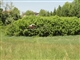 DSC00778