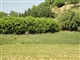 DSC00843