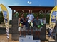 2013-RCOR-Apaj-1. place (1:8 E-buggy)